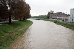 Obraz