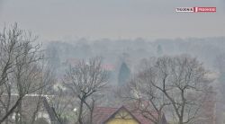 zaladowane_obrazy/mini/foto__aabb029caf.JPG